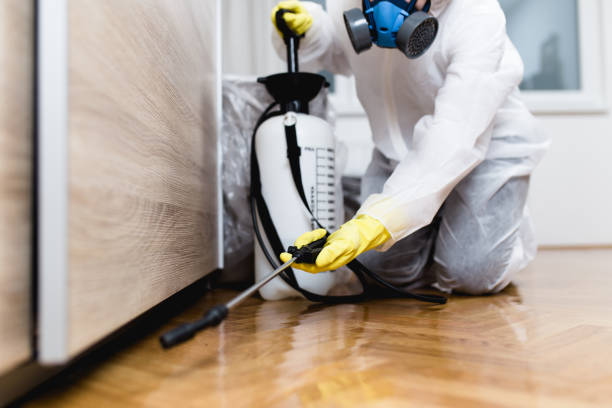 Best Termite Control Services  in Zephyrhills South, FL