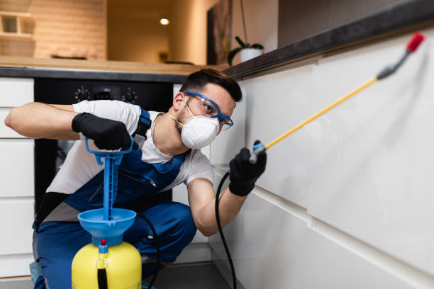 Best Affordable Pest Control Services  in Zephyrhills South, FL