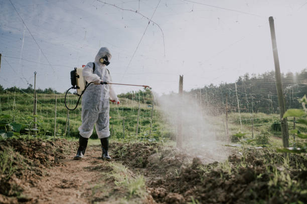 Best Mosquito Control Services  in Zephyrhills South, FL