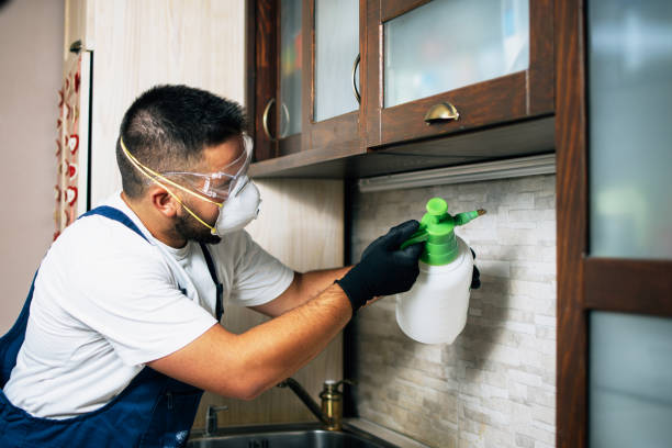 Professional Pest Control in Zephyrhills South, FL