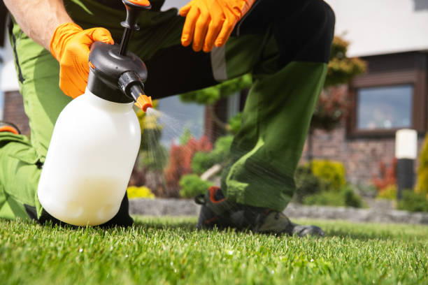 Best Local Pest Control Services  in Zephyrhills South, FL