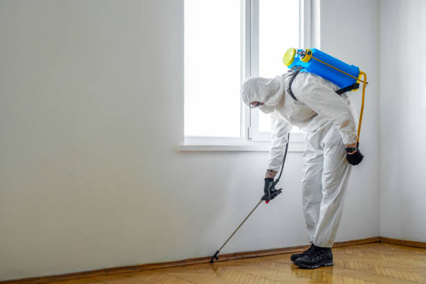 Best Best Pest Control Companies  in Zephyrhills South, FL