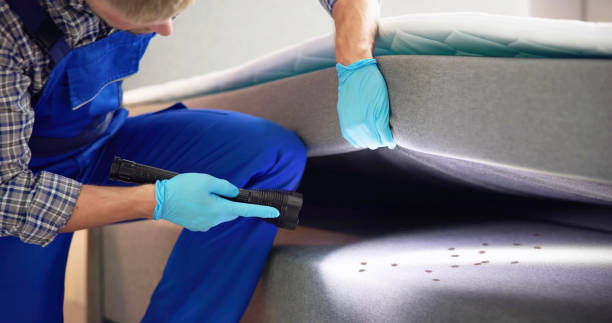 Best Ant Control Services  in Zephyrhills South, FL