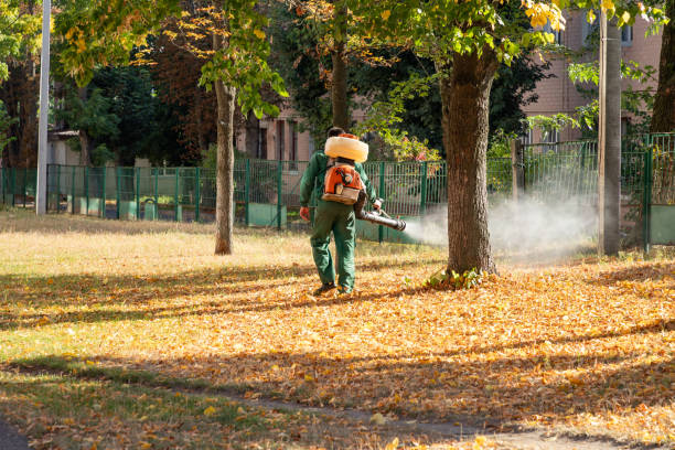 Best Flea Control Services  in Zephyrhills South, FL