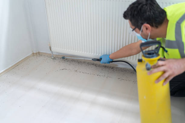 Best Pest Inspection Near Me  in Zephyrhills South, FL